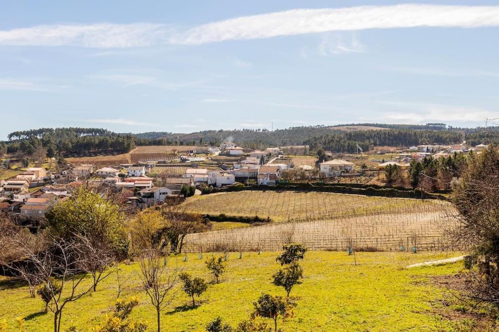 Quinta Da Eira Douro Valley Fermentoes  Exteriör bild