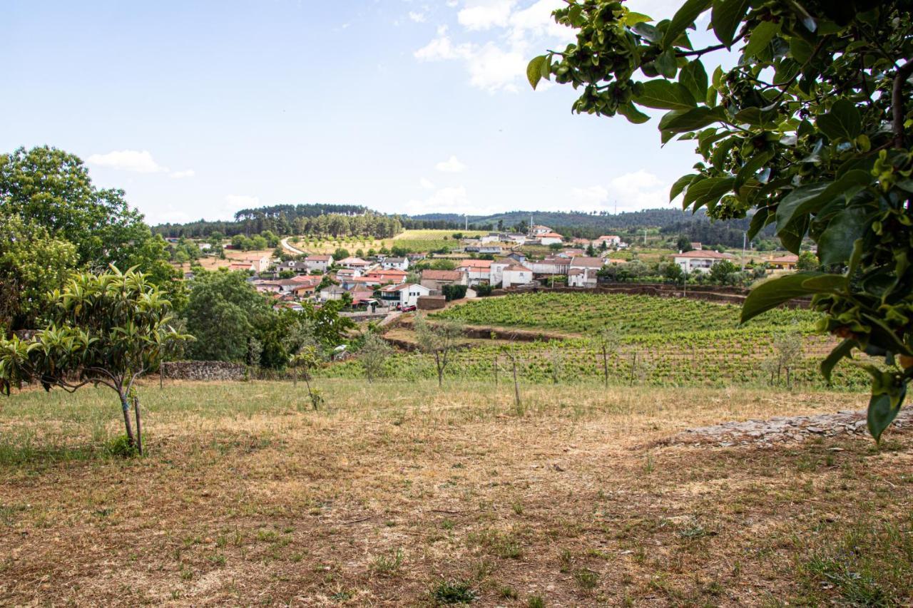 Quinta Da Eira Douro Valley Fermentoes  Exteriör bild