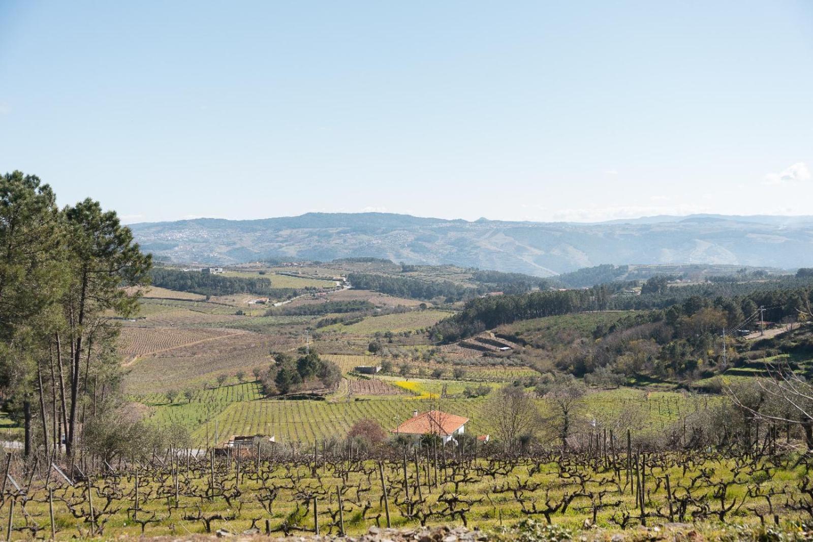Quinta Da Eira Douro Valley Fermentoes  Exteriör bild
