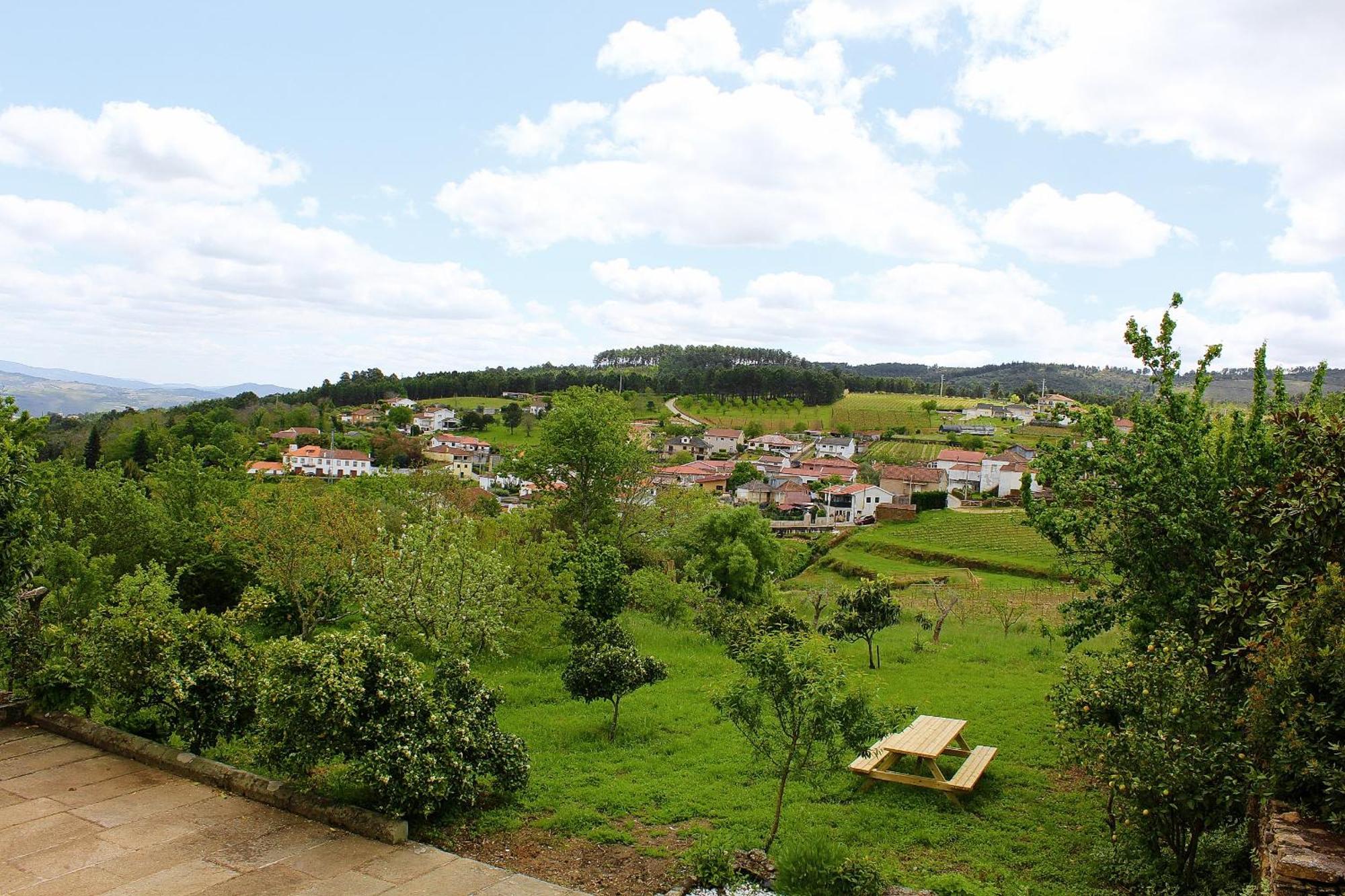 Quinta Da Eira Douro Valley Fermentoes  Exteriör bild